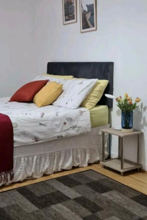Serene Double Room